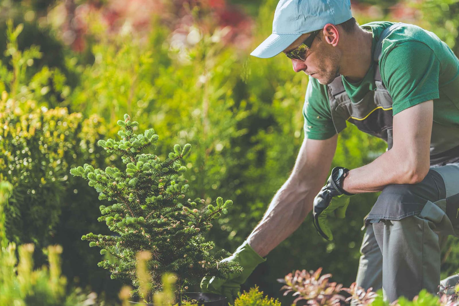 Entretien jardin Évecquemont — Parisy paysagiste 78
